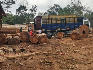 WhatsApp Image 2023-03-25 at 9.10.41 PM (2)